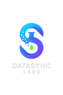 DataSync Labs 2 Logo