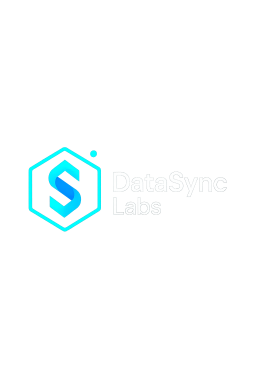 DataSync Labs 3 Logo